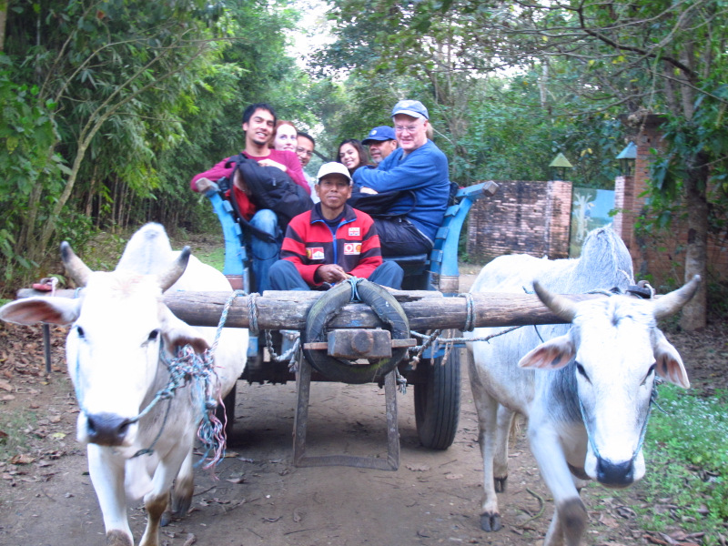 The Wiffs and Baibhav's family took this ox cart ride in Nepal.  So did some Kingswood stuff.